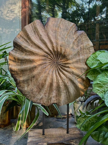 Woodspiral