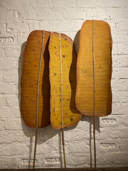 Banana Leaf