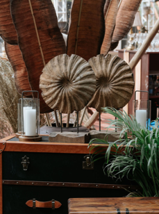 Woodspiral