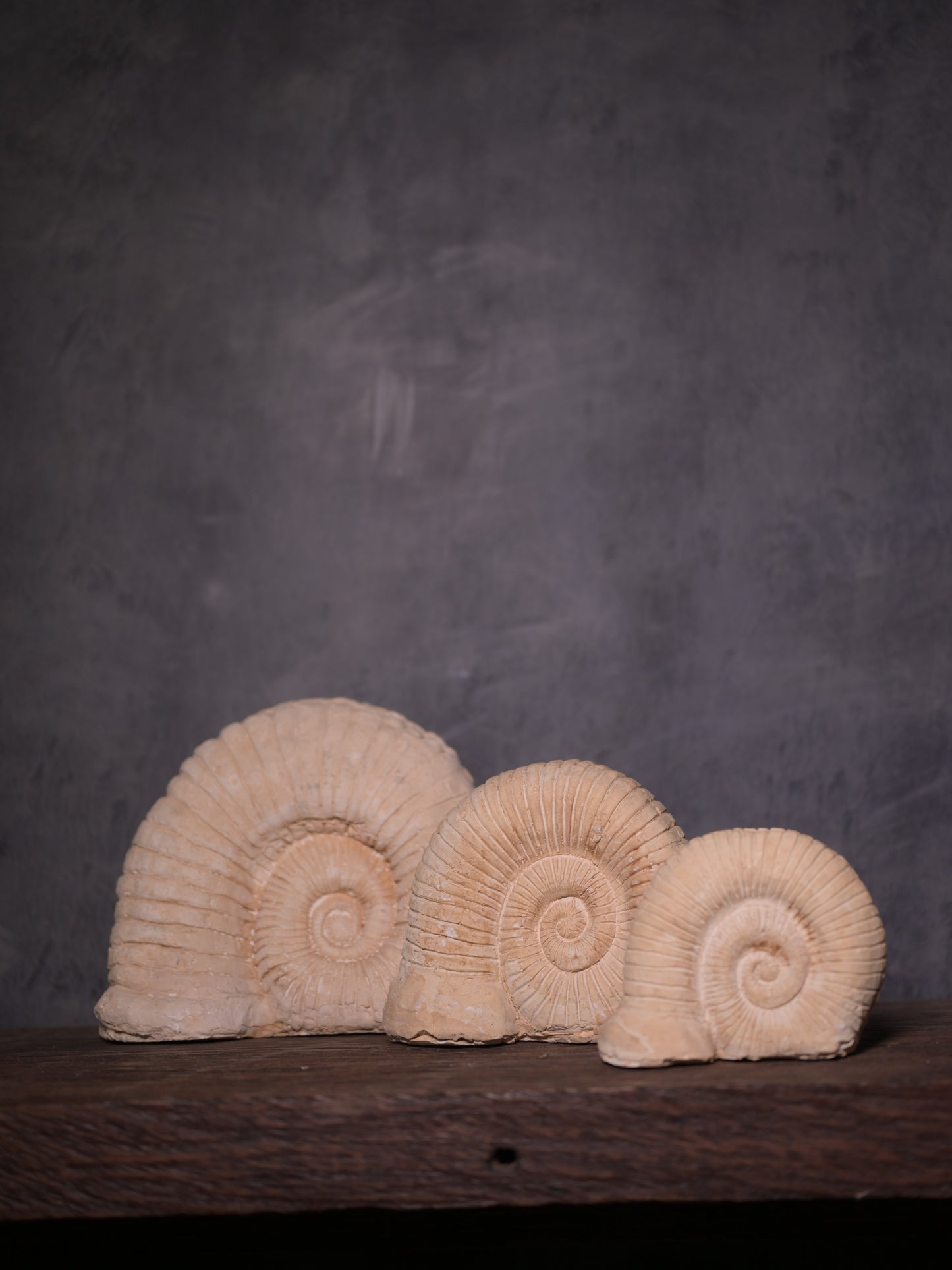 Concrete Shells