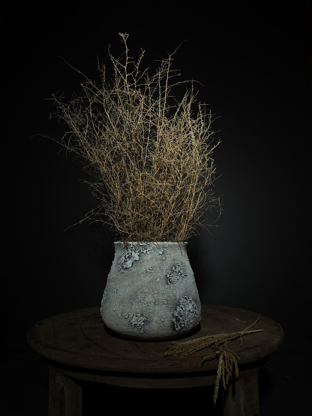 Elephant Foot Moonscape