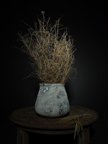 Elephant Foot Moonscape