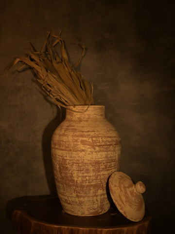 Earthen Mediterranean Pot