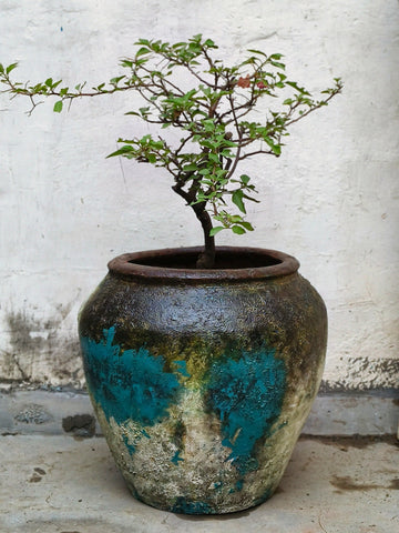 Poseidon Planter