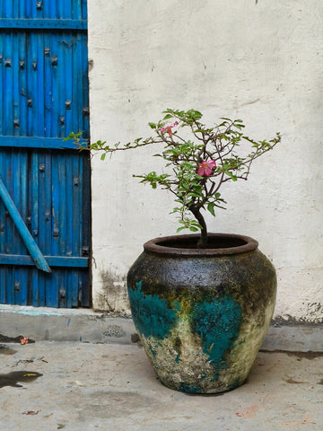 Poseidon Planter