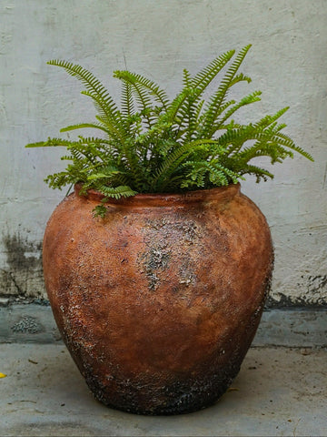 Fossil Planter