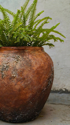 Fossil Planter