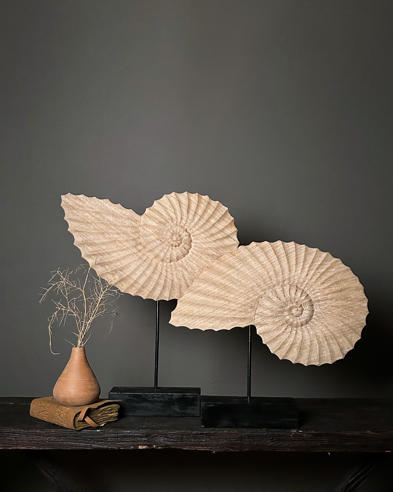 Wooden Shells Natural (set of 2) | F Six Homes – F SIX HOMES