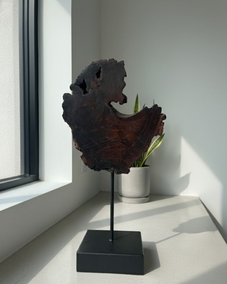 Woodslice