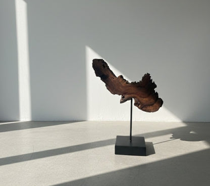 Woodslice